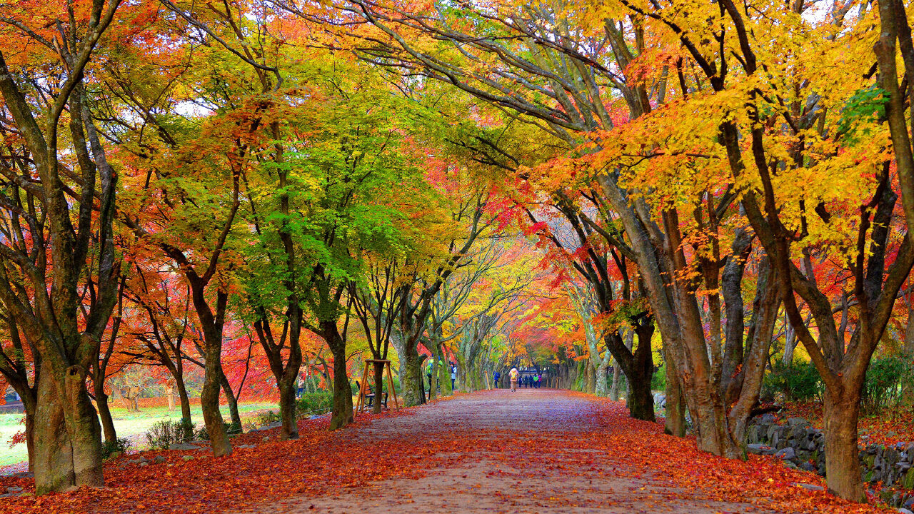美しい 季節に行きたい