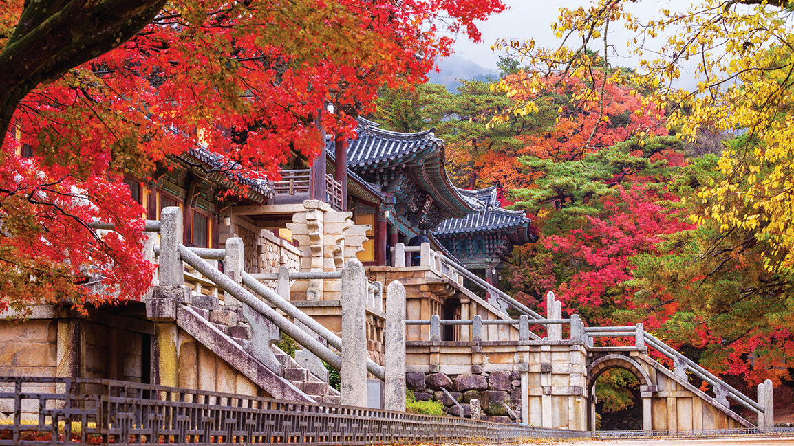 秋限定!韓国の紅葉絶景13選「VISITKOREA」で今すぐチェック